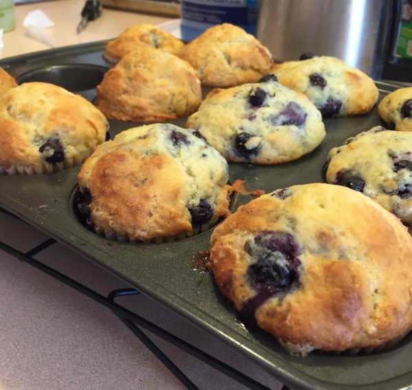 Blueberry muffins fresh from the oven and still in muffin pan made with Classic Homestyle Muffin Mix